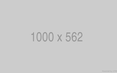 Mauris placerat orci eu sollicitudin euismod